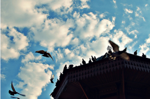 Photo: Flickr / Chun Lam