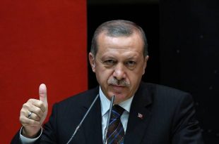 turchia la destra nazionalista apre al presidenzialismo