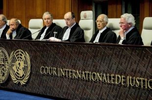 Corte internazionale di giustizia