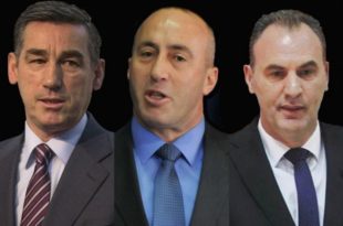elezioni