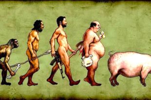 evoluzione