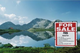 Pirin for sale