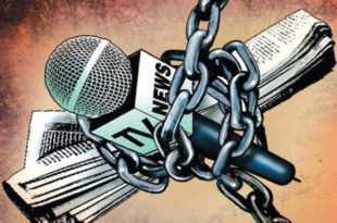 media