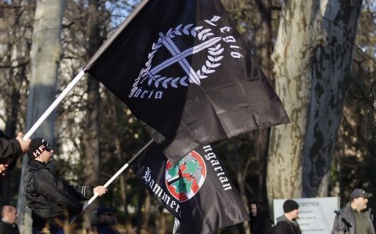 Bandiere neonazi