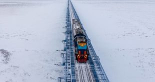 Transiberiana artica