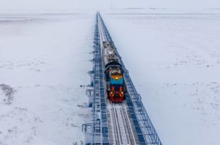Transiberiana artica