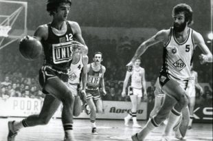 Mirza Delibasic