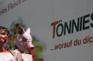 mafia della carne