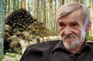 dmitriev gulag