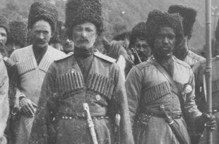 afroabcasi