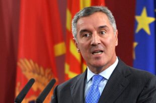 elezioni