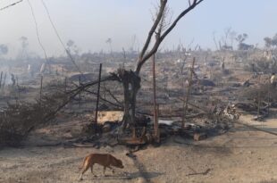 incendio campo moria