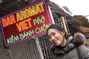 vietnamita