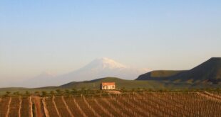 Ararat