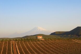 Ararat