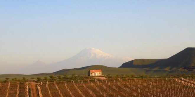 Ararat