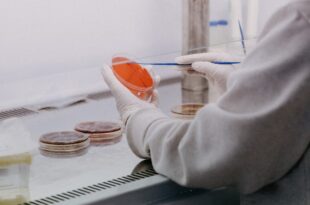 coronavirus