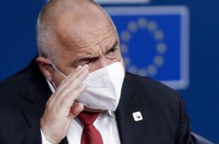 borisov elezioni