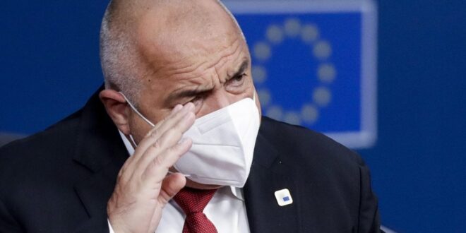 borisov elezioni