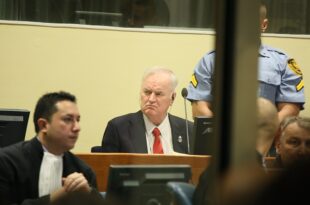 Mladic sentenza appello