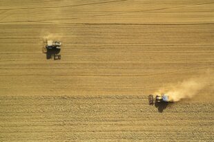 sicurezza alimentare