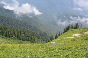Abkhazia