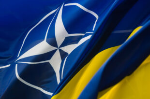 Ucraina Nato