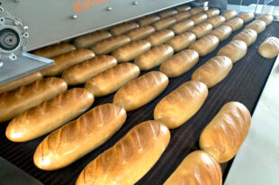 pane sindaco