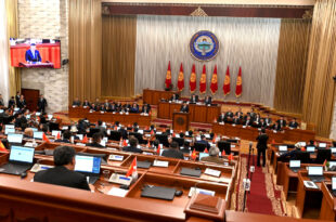 lauree parlamento