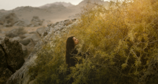 In concorso al Festival del cinema di Locarno, Sermon to the Fish di Hilal Baydarov, regista azero discepolo di Béla Tarr, è un'aggiunta alla sua sorprendente carriera filmica.