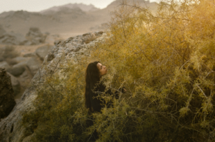 In concorso al Festival del cinema di Locarno, Sermon to the Fish di Hilal Baydarov, regista azero discepolo di Béla Tarr, è un'aggiunta alla sua sorprendente carriera filmica.