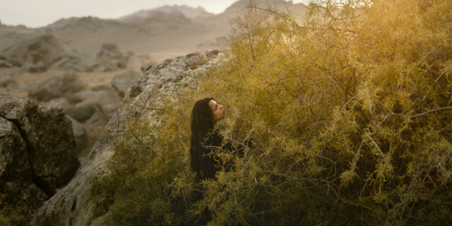 In concorso al Festival del cinema di Locarno, Sermon to the Fish di Hilal Baydarov, regista azero discepolo di Béla Tarr, è un'aggiunta alla sua sorprendente carriera filmica.