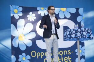 Chi sono e da dove vengono i Democratici Svedesi, il partito neonazi che ha preso il 20%