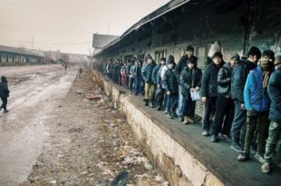 Serbia migranti