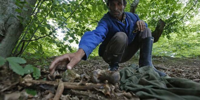 Genocidio di Srebrenica