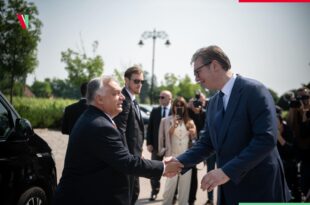 Ungheria Serbia