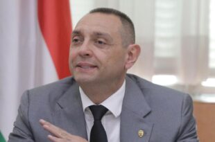 Vulin dimissioni