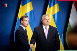 Ungheria Svezia