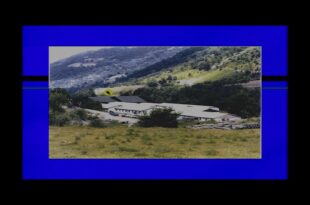 Silence of Reason di Kumjana Novakova, documentario che tratta una delle pagine più difficili della guerra post-Jugoslava, arriva al Cinema du Réel.