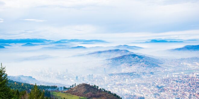 Bosnia deforestazione