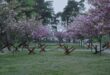 Si aggiunge al panorama sempre più vasto di cinema documentaristico e d'autore incentrato sulla guerra in Ucraina il film Militantropos, del collettivo "Tabor", presentato alla Quinzaine des Cineastes.