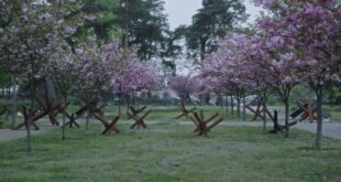 Si aggiunge al panorama sempre più vasto di cinema documentaristico e d'autore incentrato sulla guerra in Ucraina il film Militantropos, del collettivo "Tabor", presentato alla Quinzaine des Cineastes.