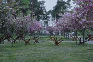 Si aggiunge al panorama sempre più vasto di cinema documentaristico e d'autore incentrato sulla guerra in Ucraina il film Militantropos, del collettivo "Tabor", presentato alla Quinzaine des Cineastes.