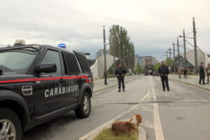 ponti Mitrovica