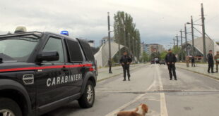 ponti Mitrovica
