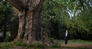 Luna Wedler vince il Premio Marcello Mastroianni per la migliore interpretazione emergente in Silent Friend di Ildikó Enyedi, uno dei film più apprezzati della Mostra del Cinema di Venezia 2025, vincitore anche di numerosi premi collaterali, tra cui il premio FIPRESCI.