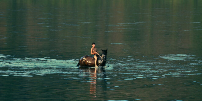 Come ogni anno, insieme ad una selezione densa di cinema di finzione, il Trieste Film Festival propone un variegato programma di cinema documentario.